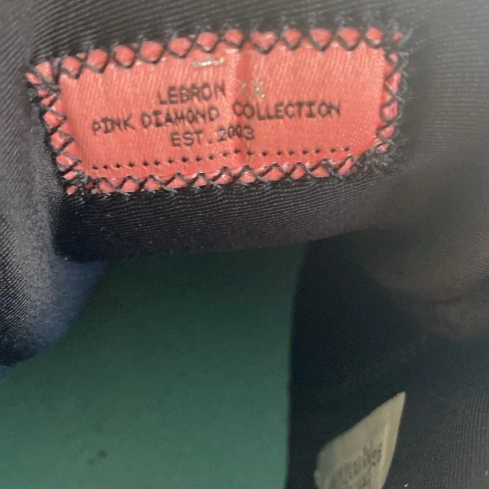 NIKE Lebron XX Pink Diamond Collection Size 6Y / 7.5 Women’s